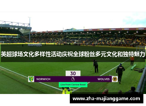 英超球场文化多样性活动庆祝全球粉丝多元文化和独特魅力